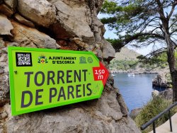 IMG_20200917_124953.jpg IMG_20200917_124953.jpg