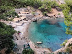 IMG_20200917_124807.jpg IMG_20200917_124807.jpg