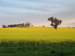 8D1EF1BB-A03E-4E91-9F3D-2D340BC5AC51.jpeg 8D1EF1BB-A03E-4E91-9F3D-2D340BC5AC51.jpeg