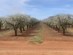 65B48CAC-5A5D-4802-BD9F-0CAD7766EAA9.jpeg 65B48CAC-5A5D-4802-BD9F-0CAD7766EAA9.jpeg