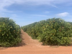 1D397721-355D-4097-9FAA-99A8E86DEC2E.jpeg 1D397721-355D-4097-9FAA-99A8E86DEC2E.jpeg