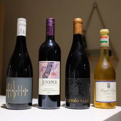 IMG_20200918_213547_832.jpg IMG_20200918_213547_832.jpg