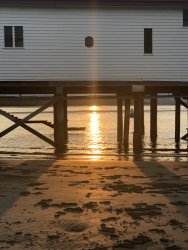 7021BA08-8200-4309-AB71-CADAA82DB7BE.jpeg 7021BA08-8200-4309-AB71-CADAA82DB7BE.jpeg