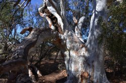 DSC_0048.JPG DSC_0048.JPG