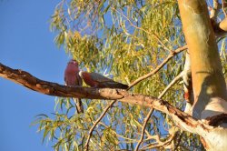 DSC_0077.JPG DSC_0077.JPG