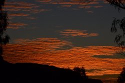 DSC_0108.JPG DSC_0108.JPG