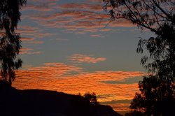 DSC_0111.JPG DSC_0111.JPG