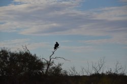 DSC_0132.JPG DSC_0132.JPG
