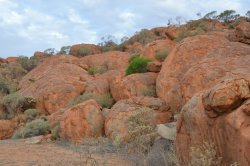 DSC_0142.JPG DSC_0142.JPG