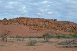 DSC_0143.JPG DSC_0143.JPG