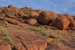 DSC_0148.JPG DSC_0148.JPG