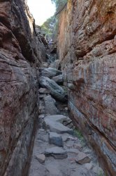 DSC_0176.JPG DSC_0176.JPG