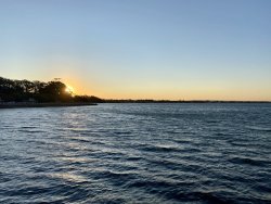 7735D638-E3D0-4B76-8535-F1046144CB4E.jpeg 7735D638-E3D0-4B76-8535-F1046144CB4E.jpeg