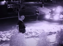 1601178362485.png 1601178362485.png