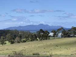 7FE14069-E75E-4EE3-8989-FAD006439EB0.jpeg 7FE14069-E75E-4EE3-8989-FAD006439EB0.jpeg