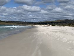 46431042-C19B-472A-8BB3-535431C4A766.jpeg 46431042-C19B-472A-8BB3-535431C4A766.jpeg