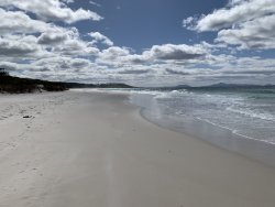 04BBF84F-DAA3-44F4-BBA4-881576616606.jpeg 04BBF84F-DAA3-44F4-BBA4-881576616606.jpeg