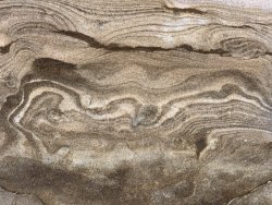 IMG_3674(1).jpg IMG_3674(1).jpg