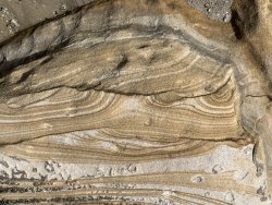 IMG_3676(1).jpg IMG_3676(1).jpg