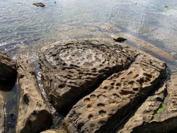 IMG_3686(1).jpg IMG_3686(1).jpg