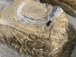 IMG_3663(1).jpg IMG_3663(1).jpg