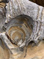 IMG_3662(1).jpg IMG_3662(1).jpg