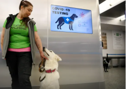 1602919089041.png 1602919089041.png