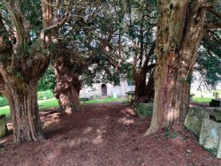 2020-10-11 11.05.16.jpg 2020-10-11 11.05.16.jpg