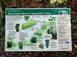 2020-10-11 11.47.32.jpg 2020-10-11 11.47.32.jpg