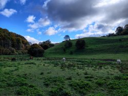 2020-10-11 12.11.31.jpg 2020-10-11 12.11.31.jpg