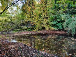 2020-10-11 12.26.05.jpg 2020-10-11 12.26.05.jpg