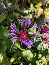 2020-10-11 12.37.54.jpg 2020-10-11 12.37.54.jpg