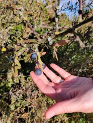 2020-10-11 14.11.25.jpg 2020-10-11 14.11.25.jpg