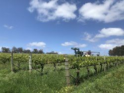 EC249ED9-FDD2-466D-9F6B-E725CBDF419A.jpeg EC249ED9-FDD2-466D-9F6B-E725CBDF419A.jpeg