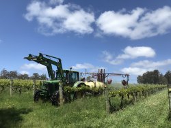 845004E8-A700-4EBF-AFCB-CFF0AEF725F1.jpeg 845004E8-A700-4EBF-AFCB-CFF0AEF725F1.jpeg