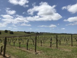 88E34AED-8BB6-4372-A2E7-7A1CE198B485.jpeg 88E34AED-8BB6-4372-A2E7-7A1CE198B485.jpeg