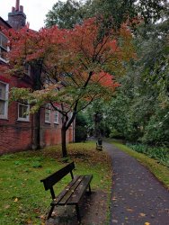 2020-10-04 14.01.46.jpg 2020-10-04 14.01.46.jpg