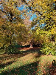 2020-10-23 09.37.20.jpg 2020-10-23 09.37.20.jpg