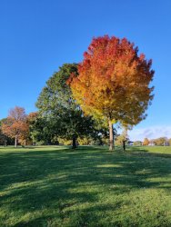 2020-10-23 09.38.44.jpg 2020-10-23 09.38.44.jpg