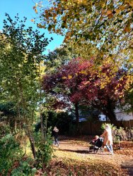 2020-10-23 09.40.36.jpg 2020-10-23 09.40.36.jpg