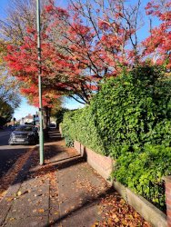 2020-10-23 09.41.57.jpg 2020-10-23 09.41.57.jpg