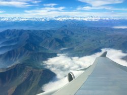 IMG_4137.jpeg IMG_4137.jpeg