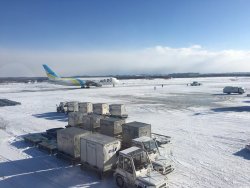 IMG_5956.jpeg IMG_5956.jpeg