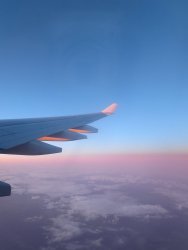 FC423B0C-ADD9-4B7D-A858-3DACB7F829DD.jpeg FC423B0C-ADD9-4B7D-A858-3DACB7F829DD.jpeg