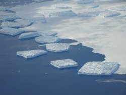 DSC00305.JPG DSC00305.JPG