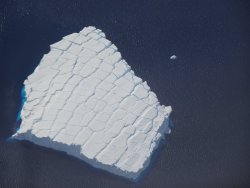 DSC00324.JPG DSC00324.JPG