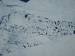 DSC00407.JPG DSC00407.JPG