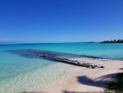 20180529_065635.jpg 20180529_065635.jpg