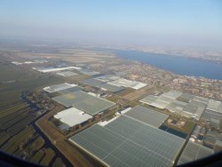 P1000130.jpg P1000130.jpg