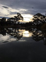 IMG_6652.JPG IMG_6652.JPG